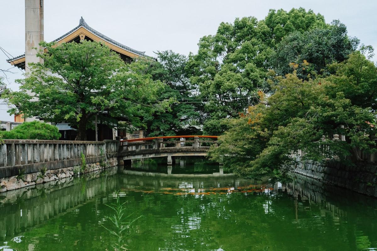 Mount Fuji reflected in Kawaguchi Lake, Japan